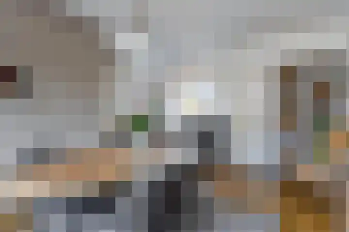 Jan Telkampstraat 9 Ruurlo thumbnail 9