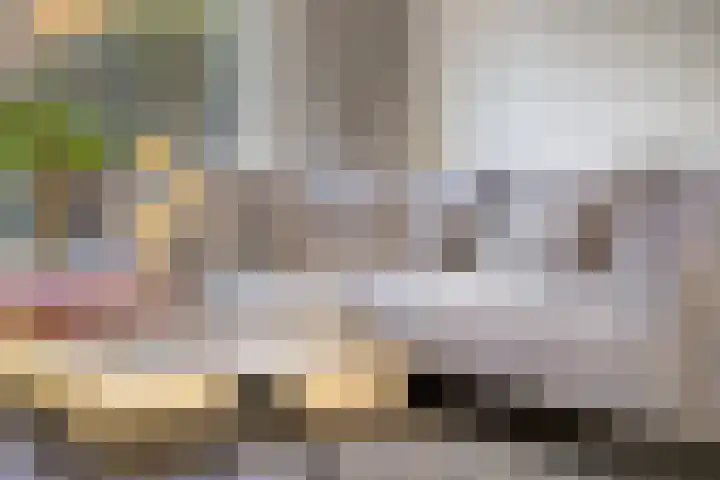 Jan van Amstelstraat 53 Gemert thumbnail 10