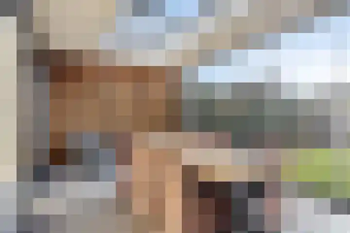 Jan van Amstelstraat 53 Gemert thumbnail 26