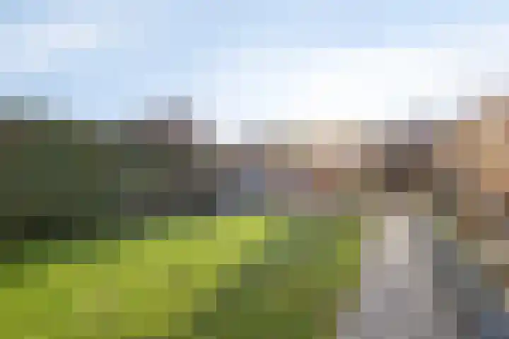 Jan van Amstelstraat 53 Gemert thumbnail 51