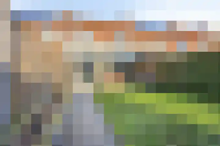 Jan van Amstelstraat 53 Gemert thumbnail 54