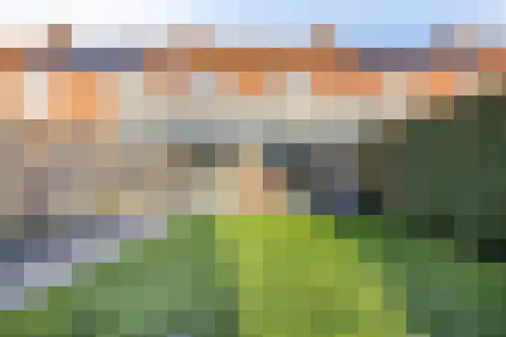 Jan van Amstelstraat 53 Gemert thumbnail 55