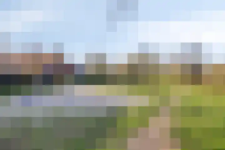 Jan van Amstelstraat 53 Gemert thumbnail 62