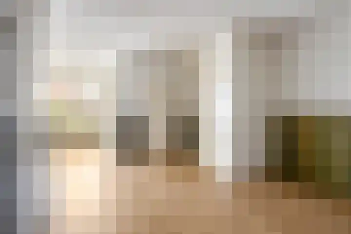 Jan van Amstelstraat 92 Gemert thumbnail 18