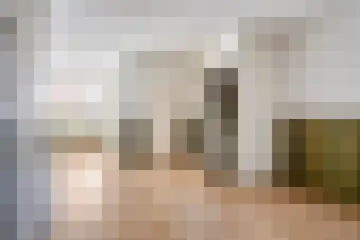 Jan van Amstelstraat 92 Gemert thumbnail 19