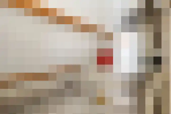 Jan van Amstelstraat 92 Gemert thumbnail 35