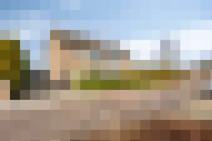 Jan van Amstelstraat 92 Gemert thumbnail 8