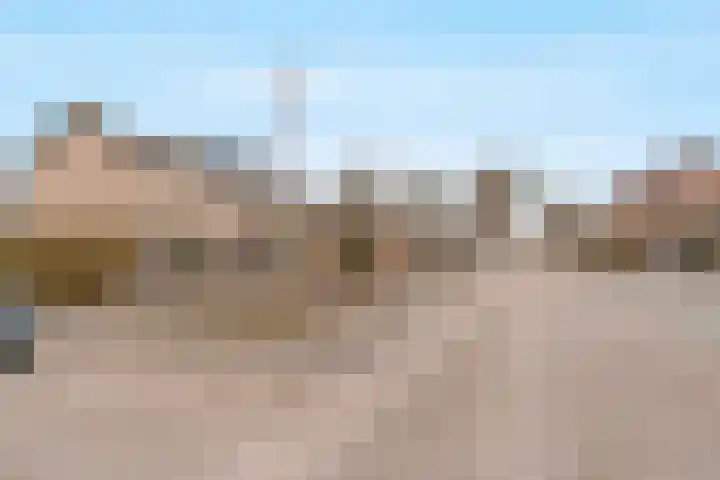 Jan van Arkelstraat 25 Everdingen thumbnail 30