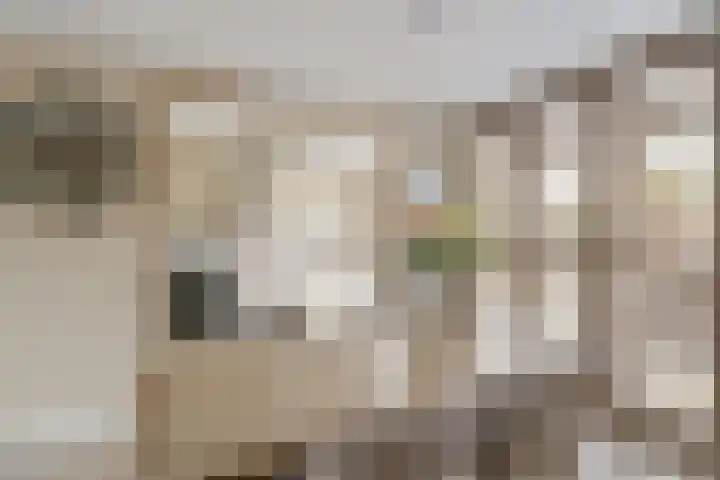 Jan van Arkelstraat 25 Everdingen thumbnail 6