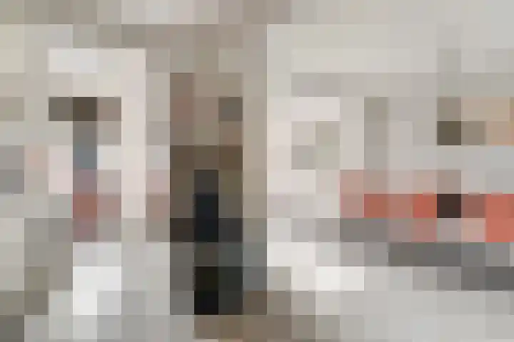 Jan van Arkelstraat 27 Everdingen thumbnail 10