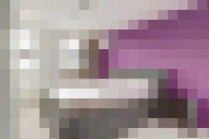 Jan van Arkelstraat 27 Everdingen thumbnail 17
