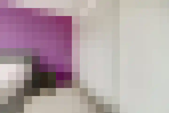 Jan van Arkelstraat 27 Everdingen thumbnail 18