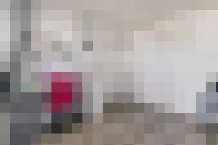 Jan van Arkelstraat 27 Everdingen thumbnail 20