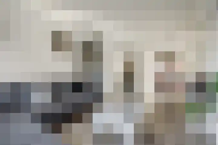Jan van Arkelstraat 27 Everdingen thumbnail 8