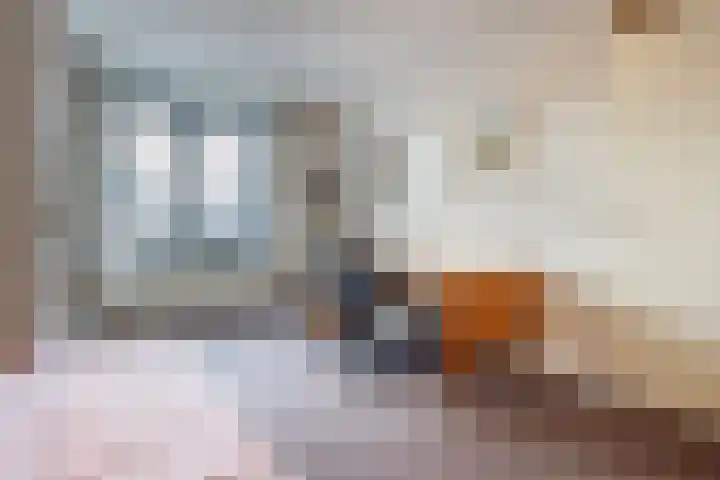 Jan van Cuijkstraat 31 Cuijk thumbnail 17