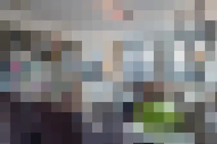 Jan van Cuijkstraat 31 Cuijk thumbnail 8