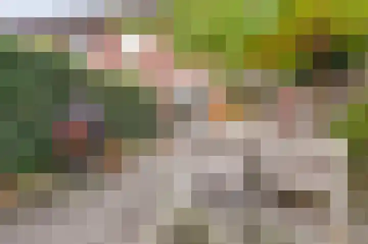 Foto van Jan van de Nieuwegiessen