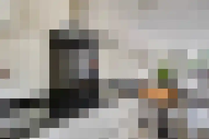Jan van Duivenvoordepad 24 Brielle thumbnail 13