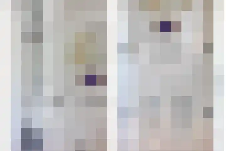 Jan van Duivenvoordepad 24 Brielle thumbnail 22