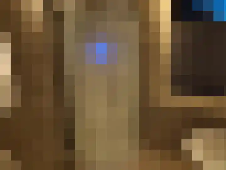 Jan van Duivenvoordepad 24 Brielle thumbnail 29