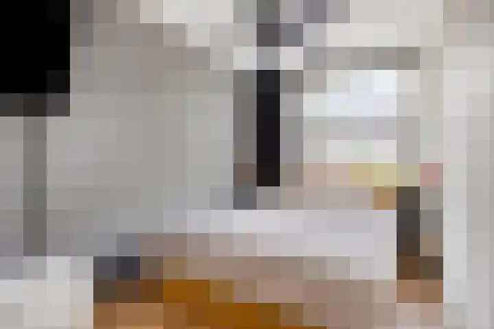 Jan van Duivenvoordepad 24 Brielle thumbnail 39