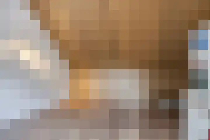 Jan van Duivenvoordepad 24 Brielle thumbnail 47