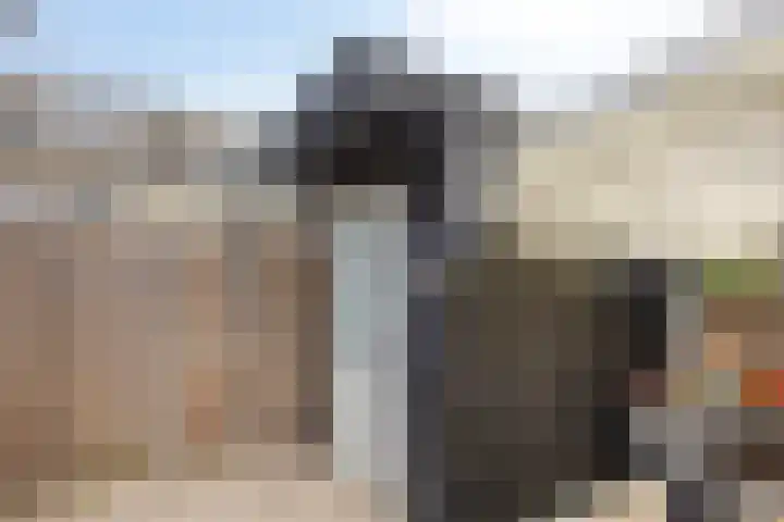 Jan van Duivenvoordepad 24 Brielle thumbnail 51