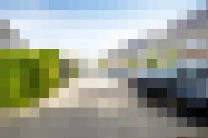 Jan van Duivenvoordepad 24 Brielle thumbnail 52