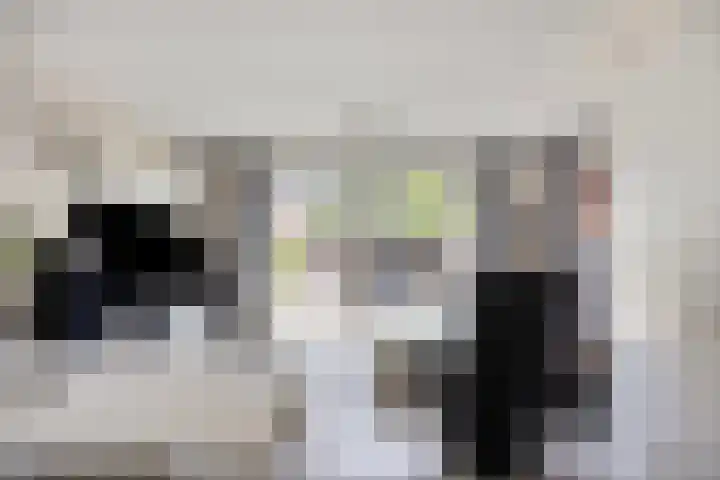 Jan van Duivenvoordepad 24 Brielle thumbnail 6