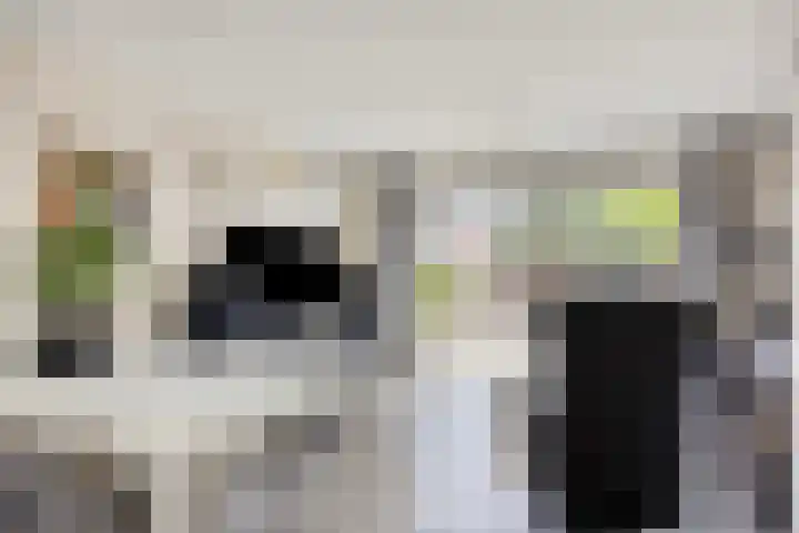 Jan van Duivenvoordepad 24 Brielle thumbnail 9