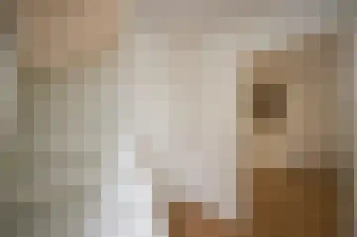 Jan van Eyckstraat 43 Axel thumbnail 5