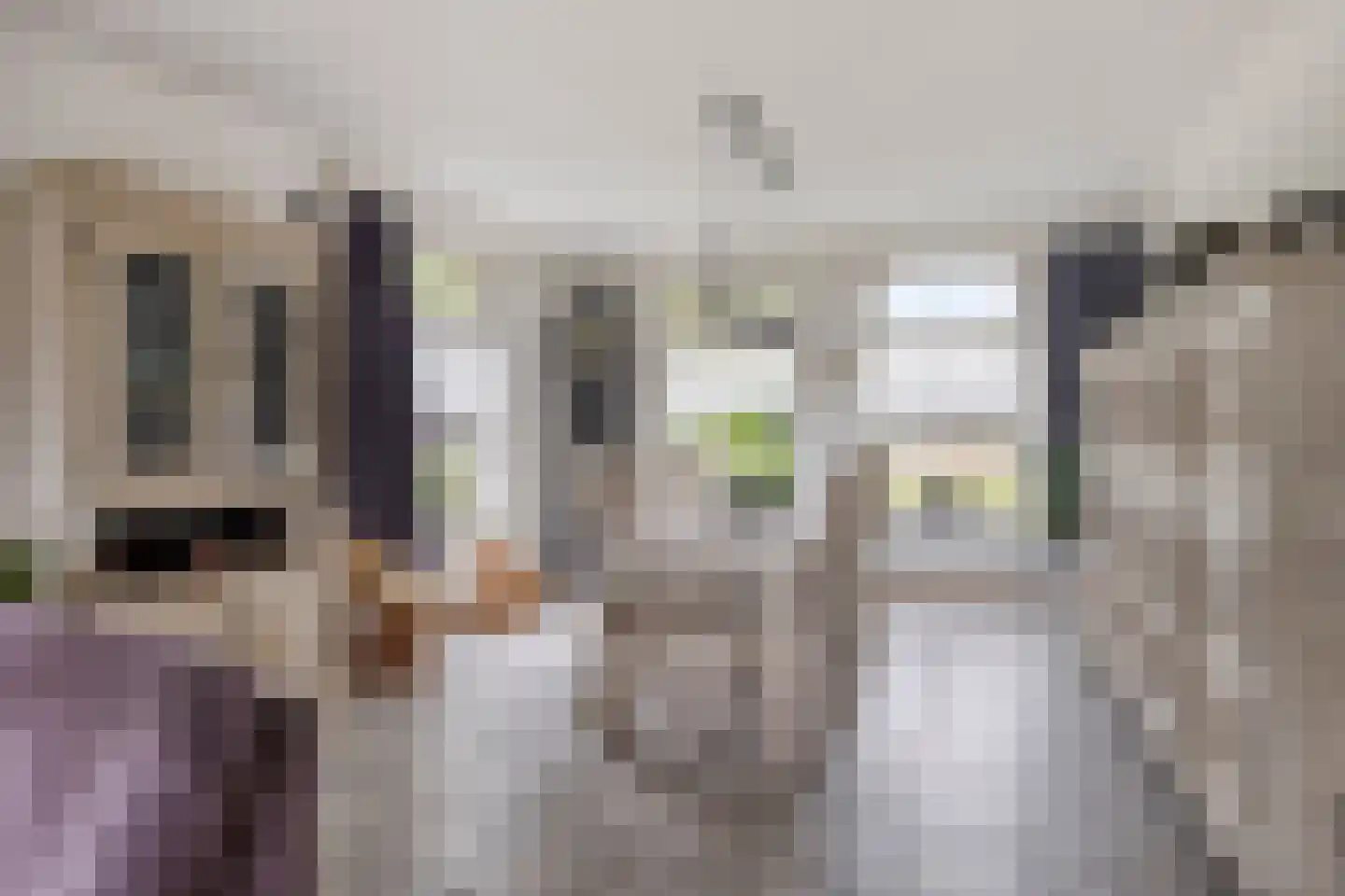 Jan van Havenstraat 33 Ommel thumbnail 9