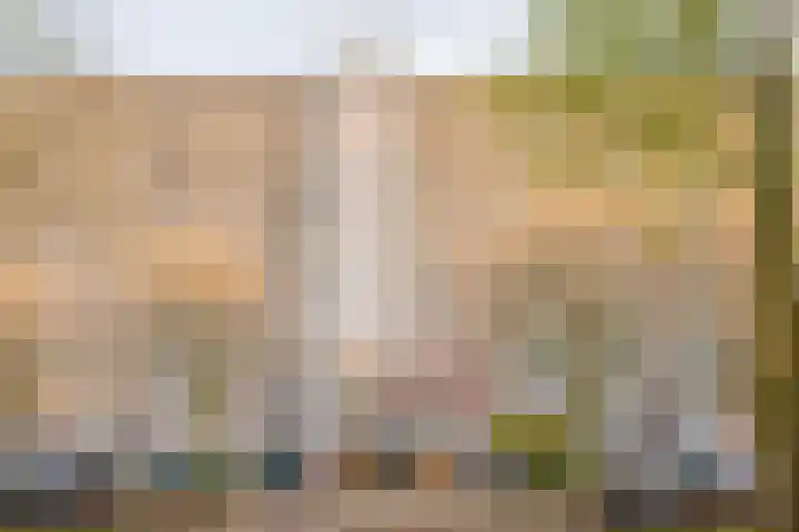 Jan Vermeerstraat 289 in Venlo