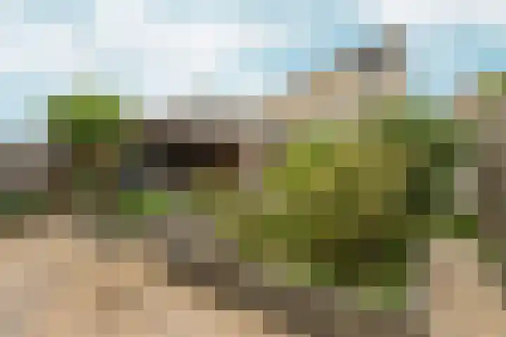 Jan Voermanstraat 43 Almere thumbnail 39