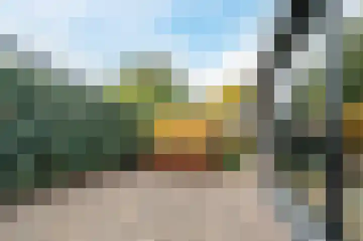 Foto van Jan-Willem L. Dijksman