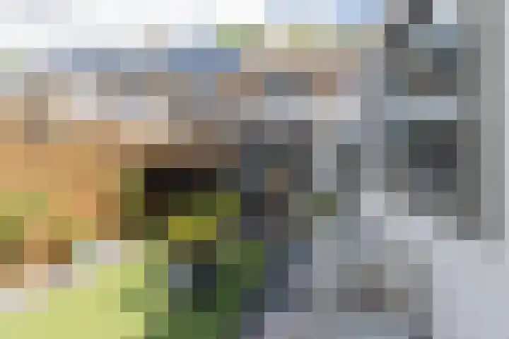 Jan Willenstraat 8 Geleen thumbnail 17