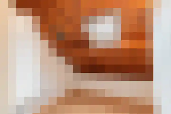 Jan Willenstraat 8 Geleen thumbnail 30