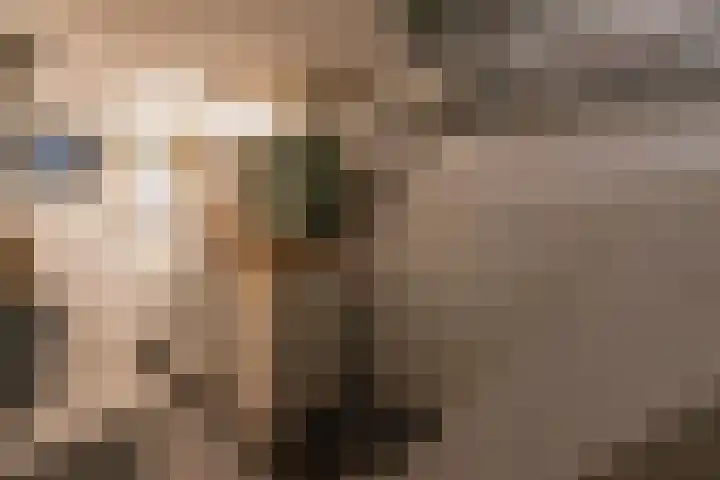 Jan Willenstraat 8 Geleen thumbnail 6