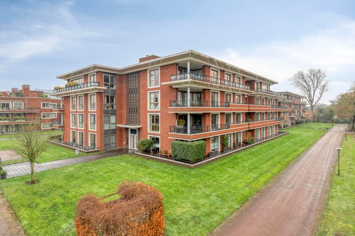 Jan Wilshof 85 in Alkmaar