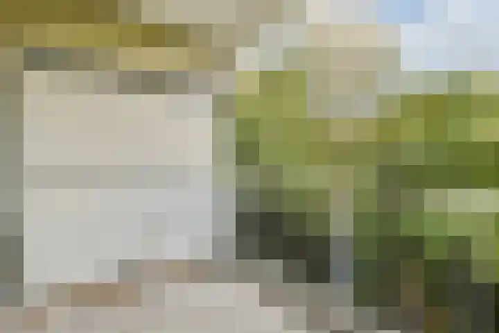 Jan Witheijnstraat 36 Amsterdam thumbnail 7