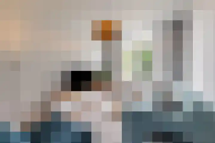 Janninksweg 147 Enschede thumbnail 13