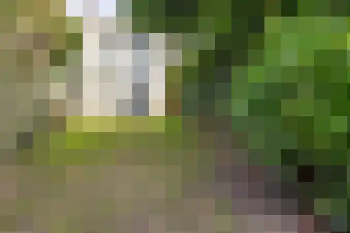 Janninksweg 147 Enschede thumbnail 31