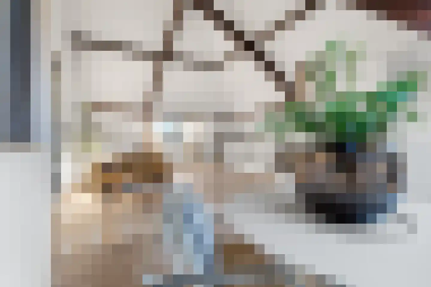 Jansbinnensingel 12 3 Arnhem thumbnail 19