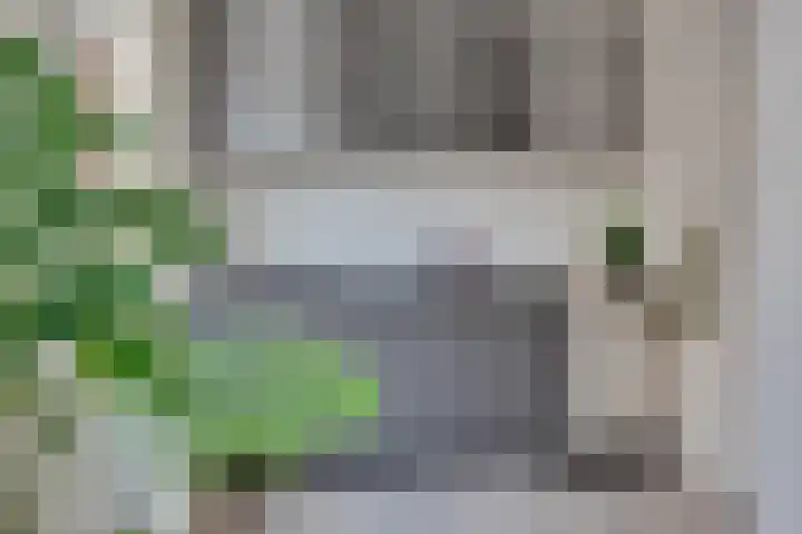 Jansdam 1 B Utrecht thumbnail 14