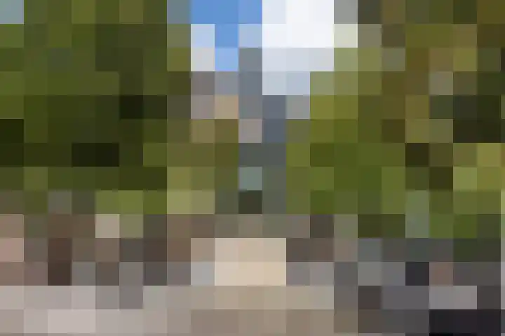 Jansdam 1 B Utrecht thumbnail 26