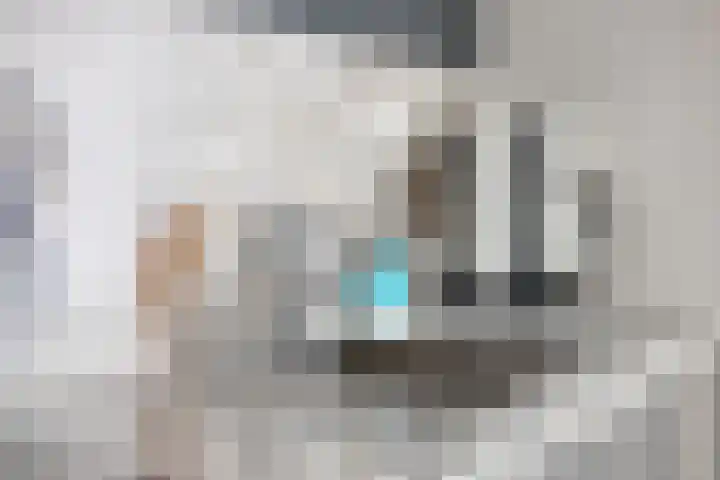 Janseniuslaan 4 Hulst thumbnail 12
