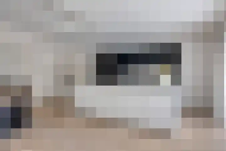 Janseniuslaan 4 Hulst thumbnail 15