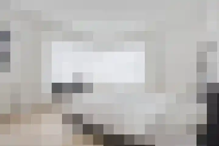 Janseniuslaan 4 Hulst thumbnail 16