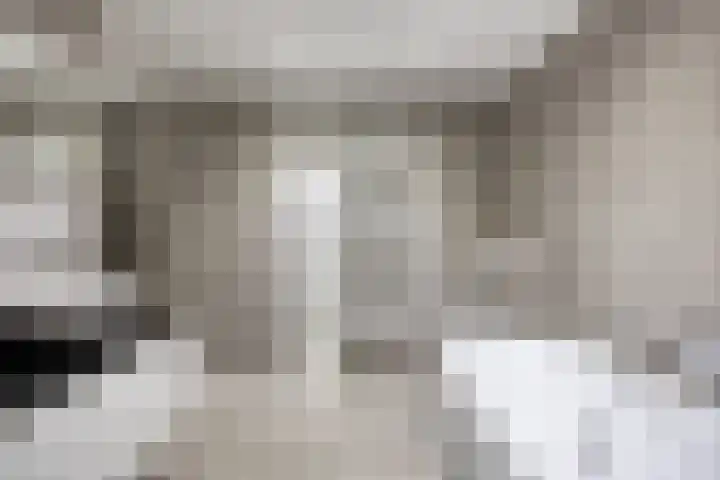 Janseniuslaan 4 Hulst thumbnail 18