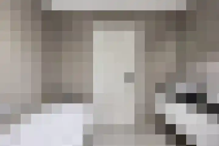 Janseniuslaan 4 Hulst thumbnail 19
